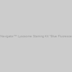 Image of Cell Navigator™ Lysosome Staining Kit *Blue Fluorescence*